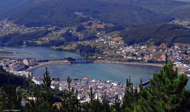 Vista de Viveiro
