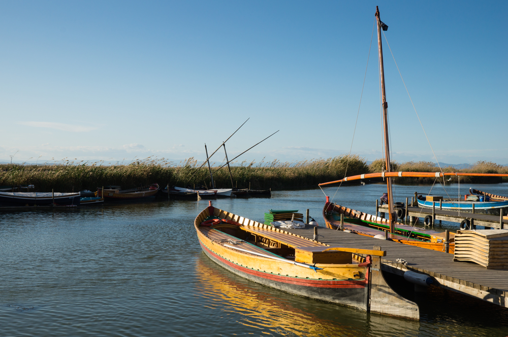 Parque Natural de la Albufera de Valencia