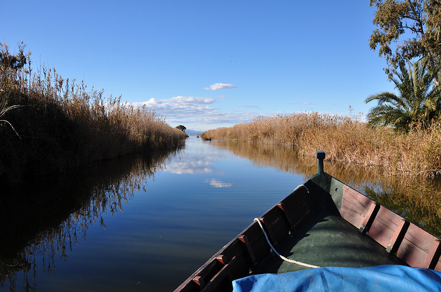 Barca en el Parque Natural de la Albufera de Valencia