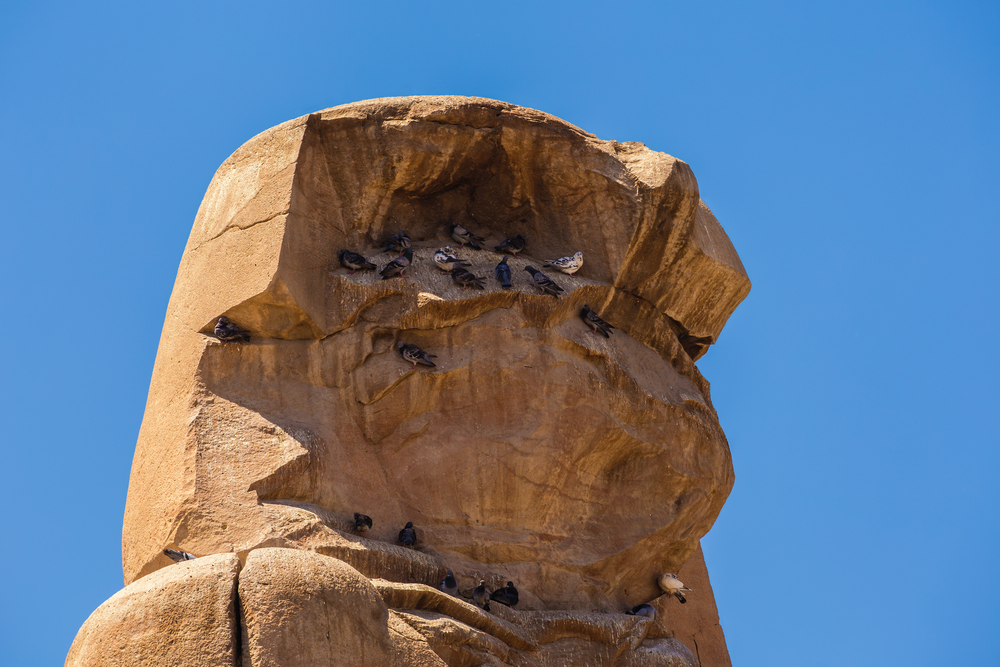 Cabeza de un coloso de Memnon