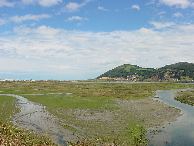 Marismas de Santoña cerca de Noja