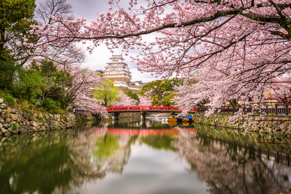 Castillo de Himeji en primavera