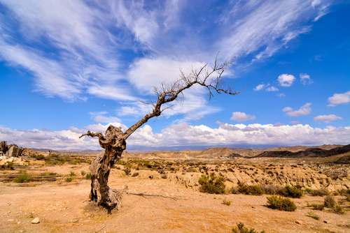 Desierto de Tabernas en Almería