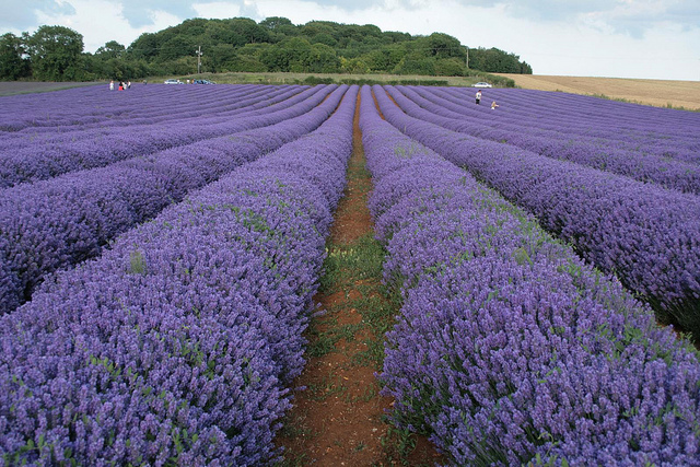 Heacha, uno de los rincones de Gran Bretaña más curiosos
