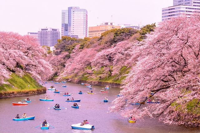 Kitanomaru Park en Tokio en Primavera
