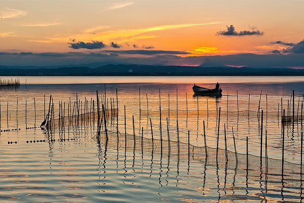 Lago del Parque Natural de la Albufera de Valencia
