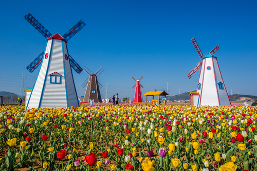Molinos en Holanda