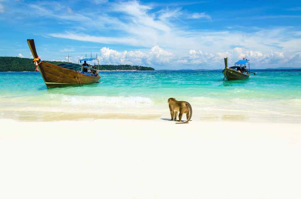 Monkey Beach en Tailandia