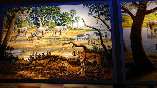 Museo Nacional de Altamira