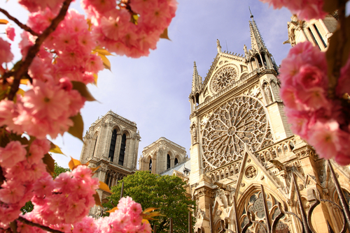 6 curiosidades de la Catedral de Notre Dame.
