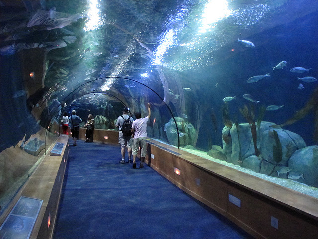 Oceanografic en Valencia