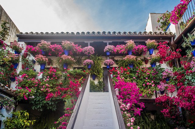 Patio de Córdoba en primavera