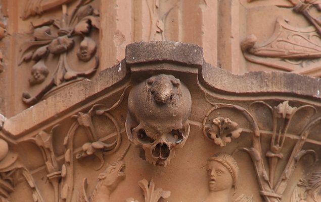 Rana en la fachada de la universidad de Salamanca