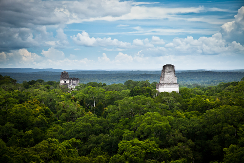 Selva de Petén y Tikal