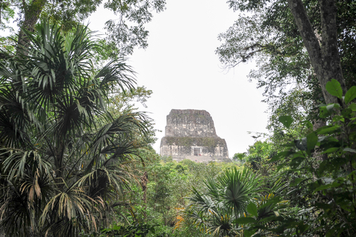 Selva de Peten y ruinas de Tikal