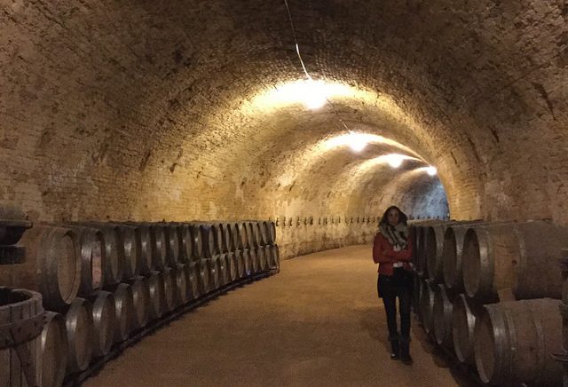 Bodegas de Madrid, Real Cortijo