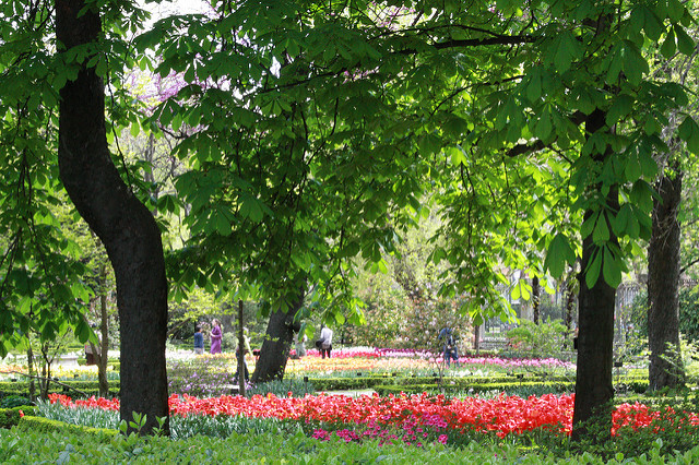 Jardín Botánico de Madrid