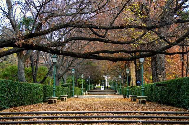 JArdín Botánico de Madrid en otoño