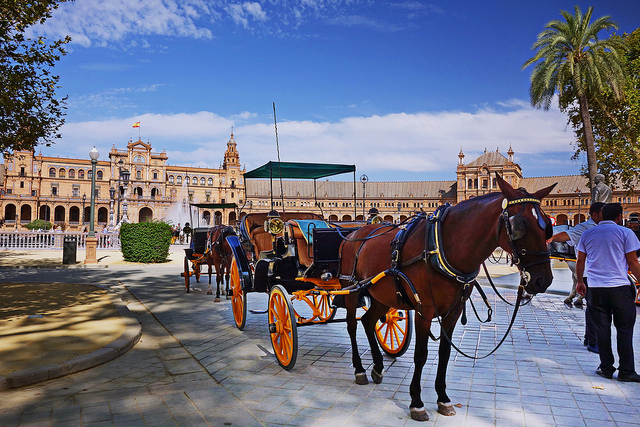 Calesa en Sevilla