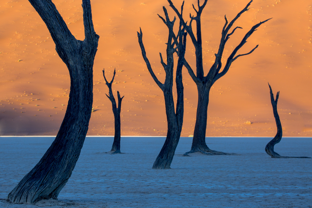 Paisajes de África, Dead Vlei