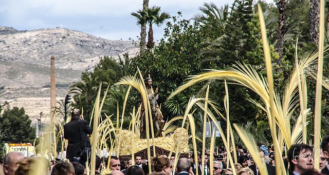 Domingo de Ramos en Elche