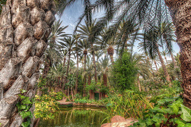Huerto del Cura en el Palmeral de Elche
