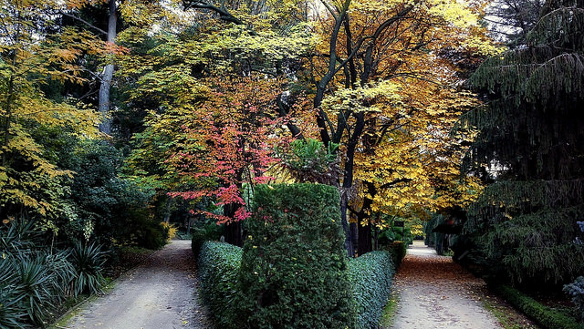 Jardín Botánico de Madrid