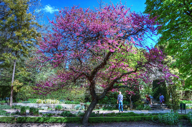 Jardín Botánico de Madrid