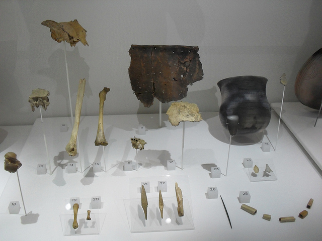 Museo de la Evolución Humana