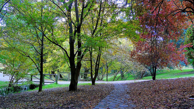 Parque del Oeste de Madrid
