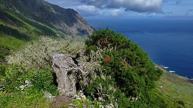 Parque Rural Frontera en El Hierro