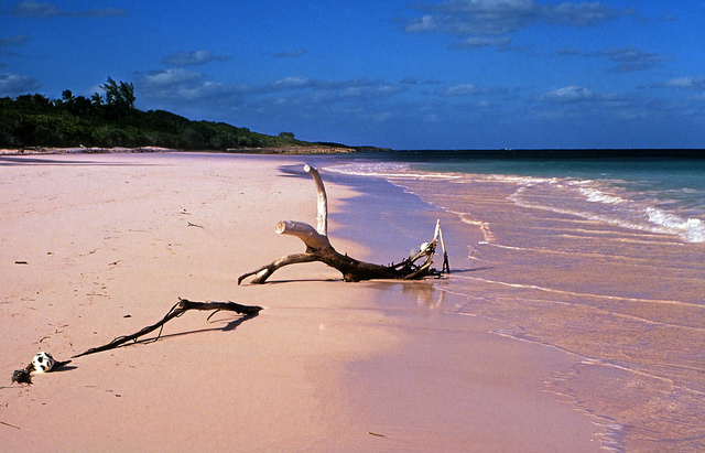 Pink Sand en Bahamas