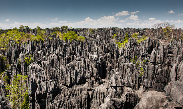 Tsingy de Bemaraha en MAdagascar