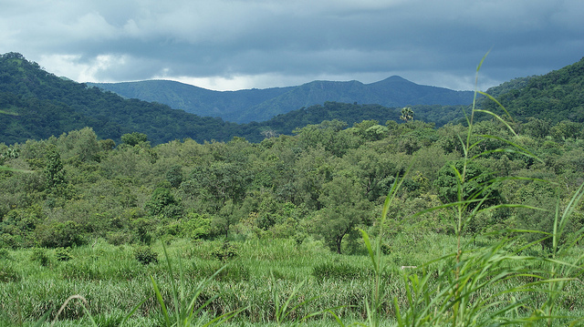 Gashaka Gumti, lugar imprescindible en un recorrido natural por Nigeria