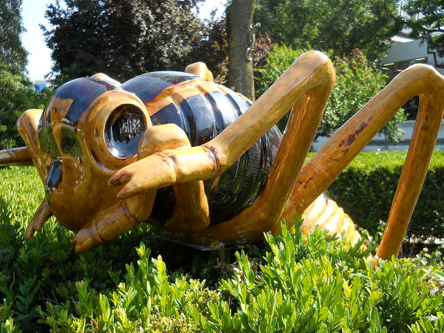 Jardín Pinheiro en Lisboa