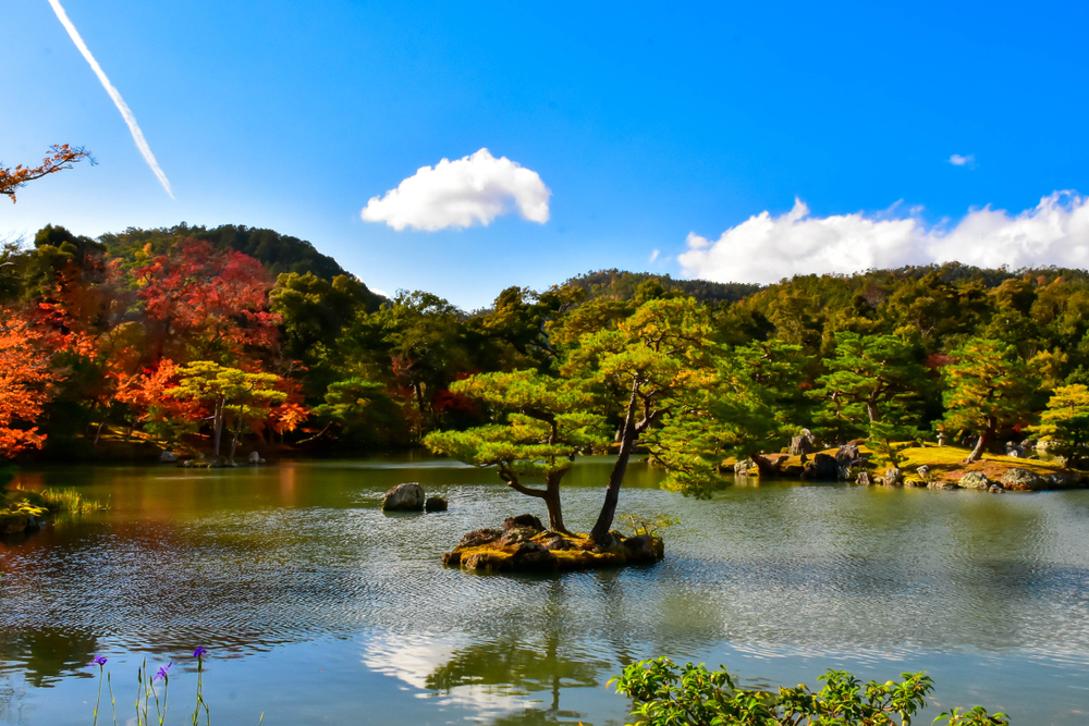 Jardines de Kinkaku-ji