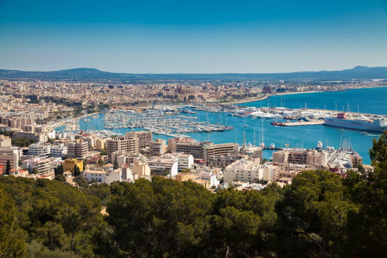 6 fantásticas actividades que hacer en Palma de Mallorca