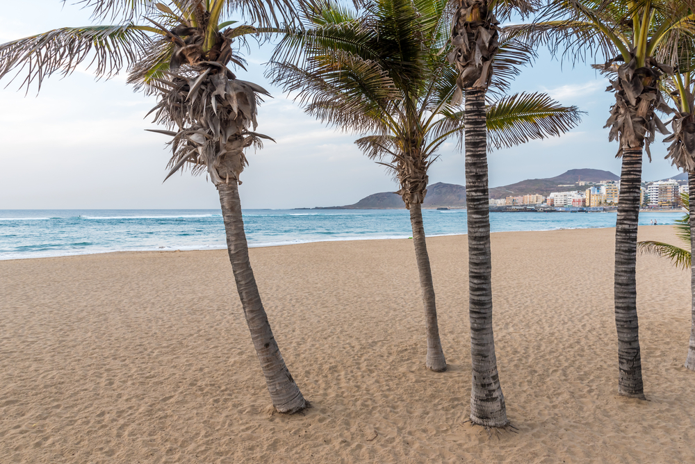 Playa de Las Canteras en Las Palmas