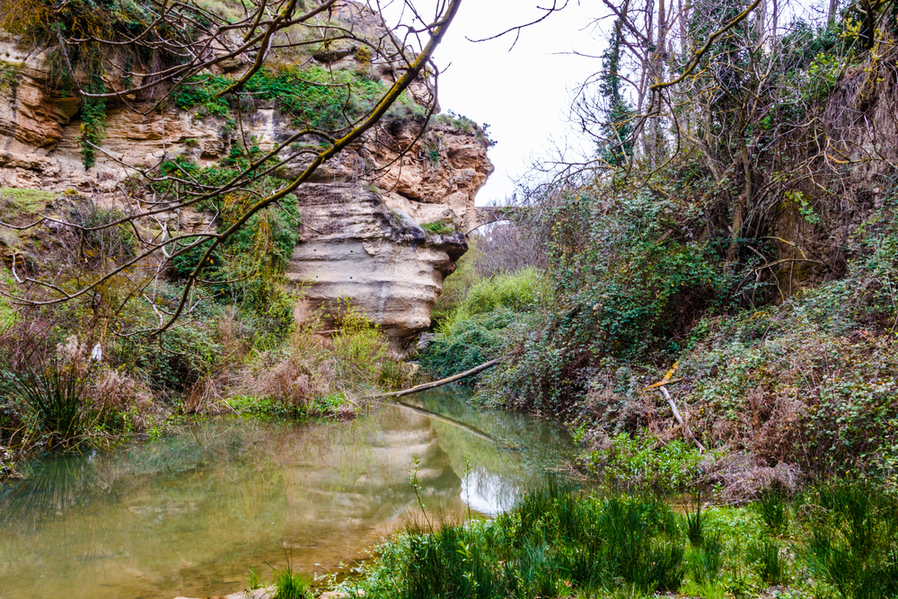 Poza en Alhama de Granada