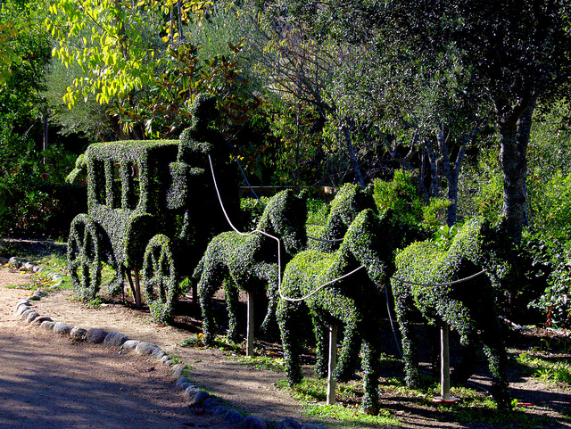 Carruaje en el Bosque Encantado