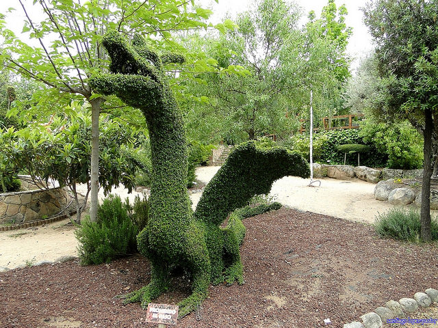 Dragón en el Bosque Encantado