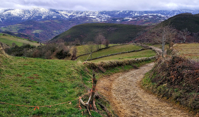 Camino de Santiago