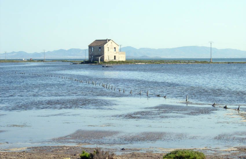 Encañizada en el Mar Menor