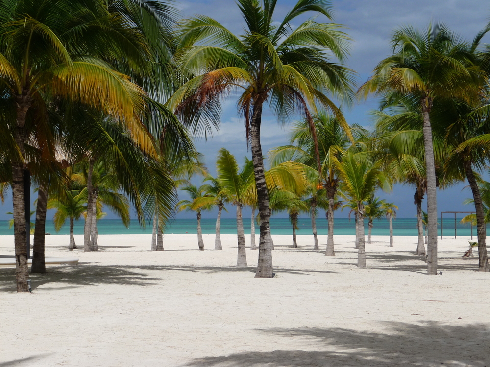 Isla de la Pasión en México