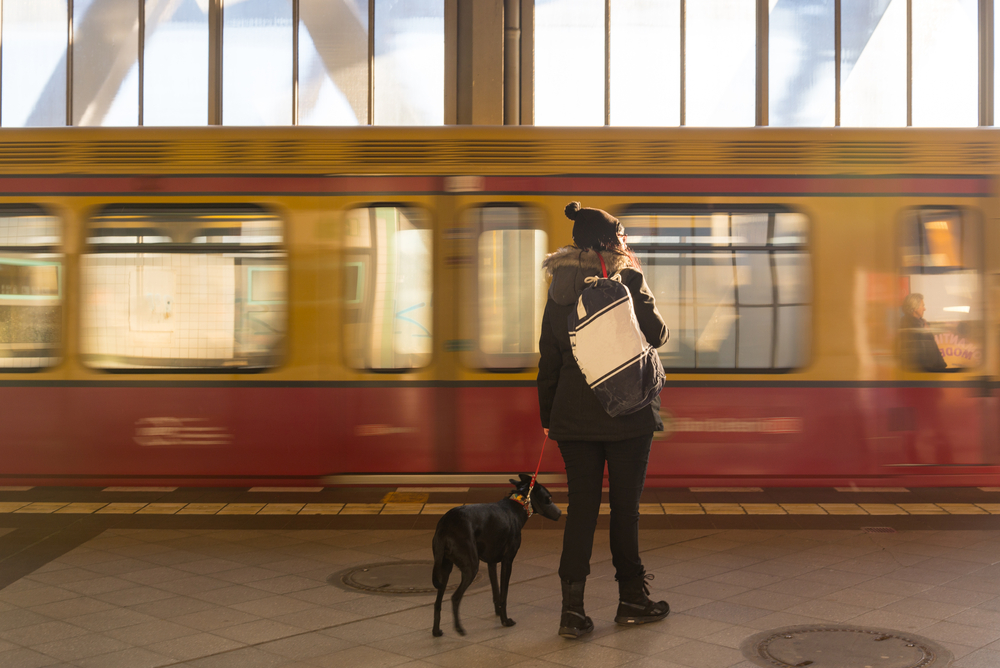 Perro en estación de tren de Berlín