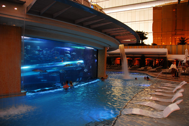 Piscina del Hotel Golden Nugget