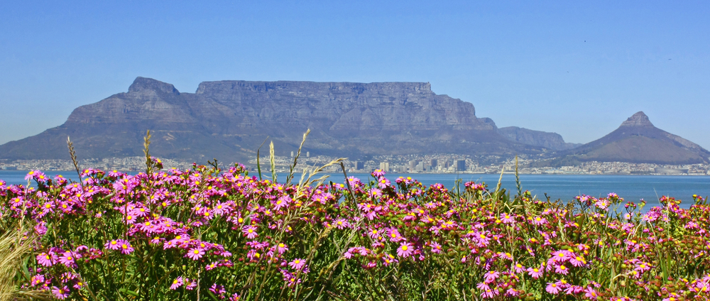 Table Mountain en Sudáfrica