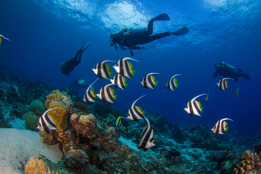 Buceadores en Tahití