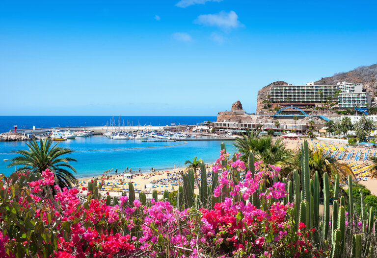 5 actividades que hacer en Gran Canaria