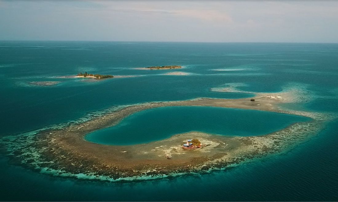 Bird Island